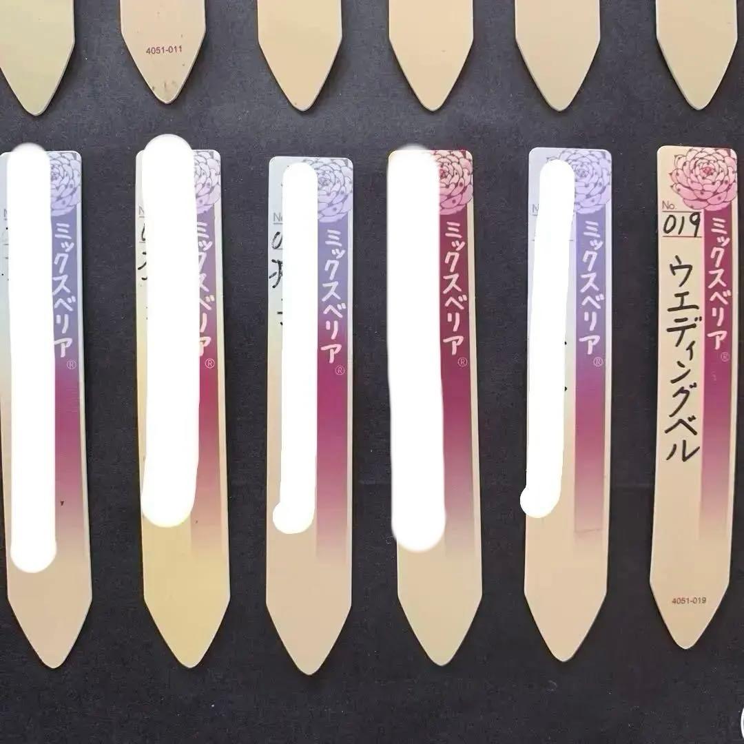 札のみ ② バラ売り可　ミックスベリア　おらいさん