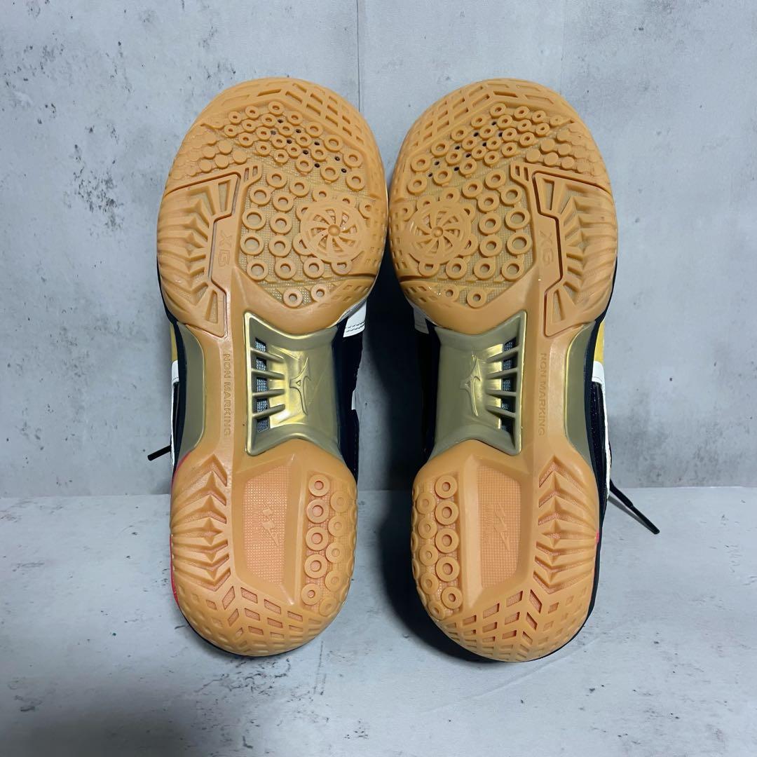 新品タグ付　ミズノ バドミントンシューズ メンズ ウエーブファング スニーカー