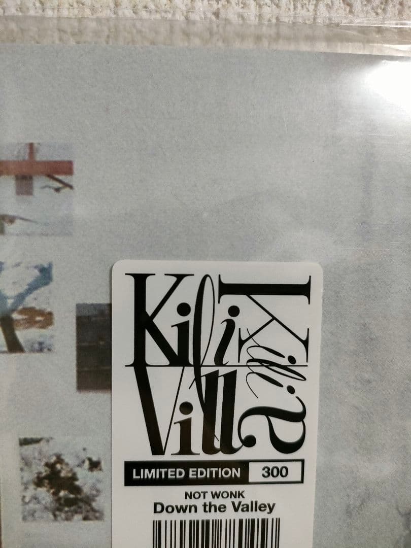 新品!レア!NOT WONK『Down The Valley』限定300枚