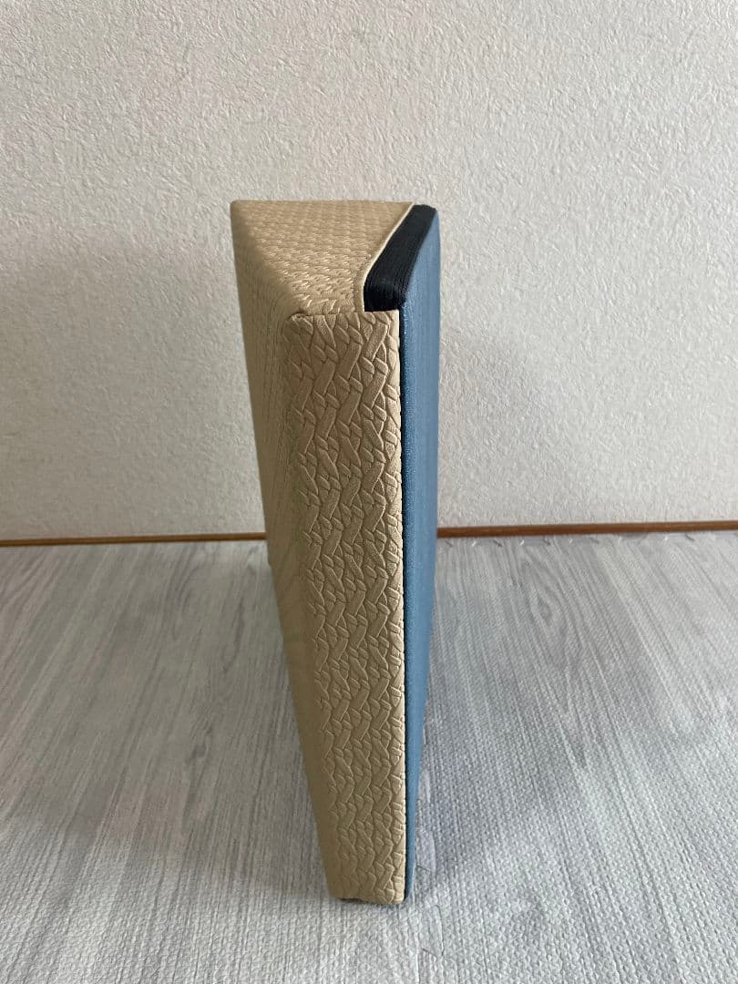 サンテプラス フレックスクッション ベージュ