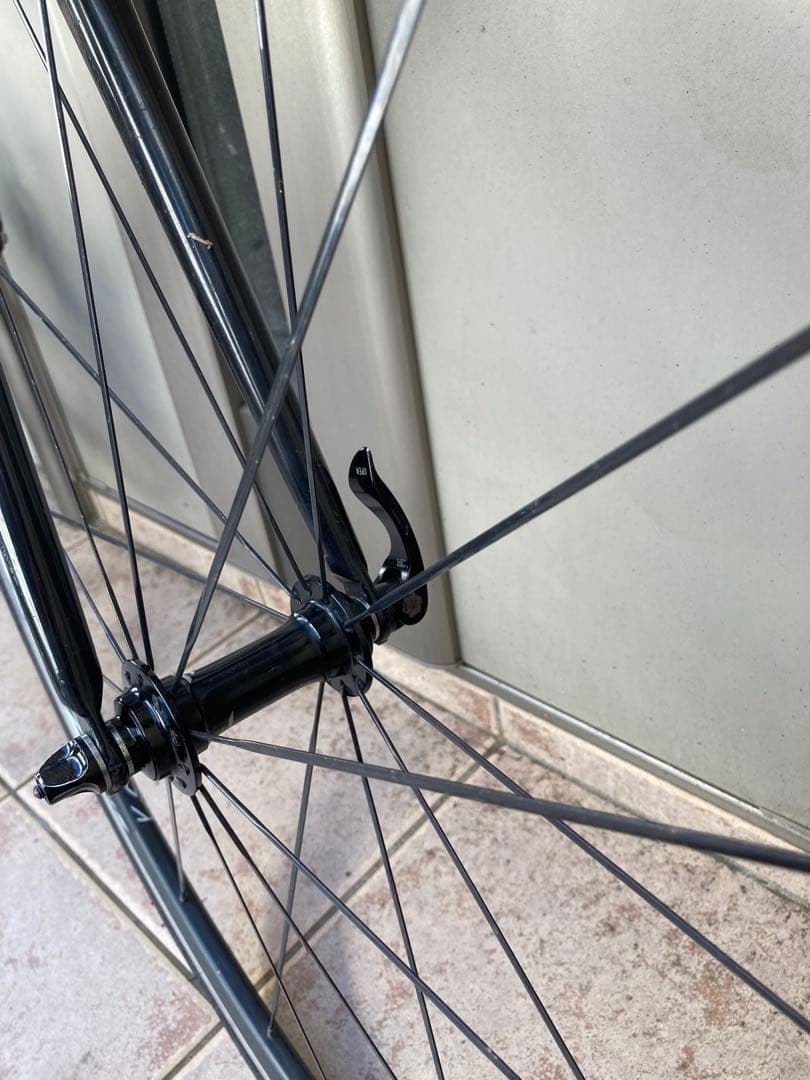 giant トラディスト