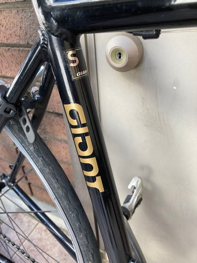 giant トラディスト