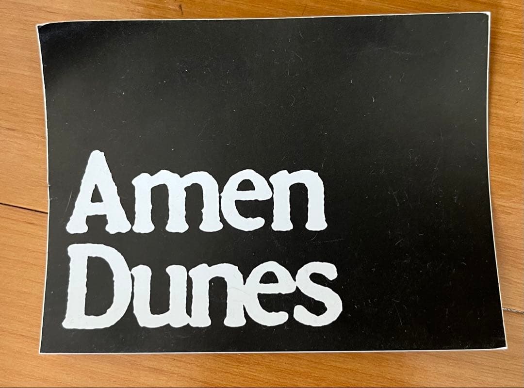 新品未使用品 AMEN DUNES death jokes