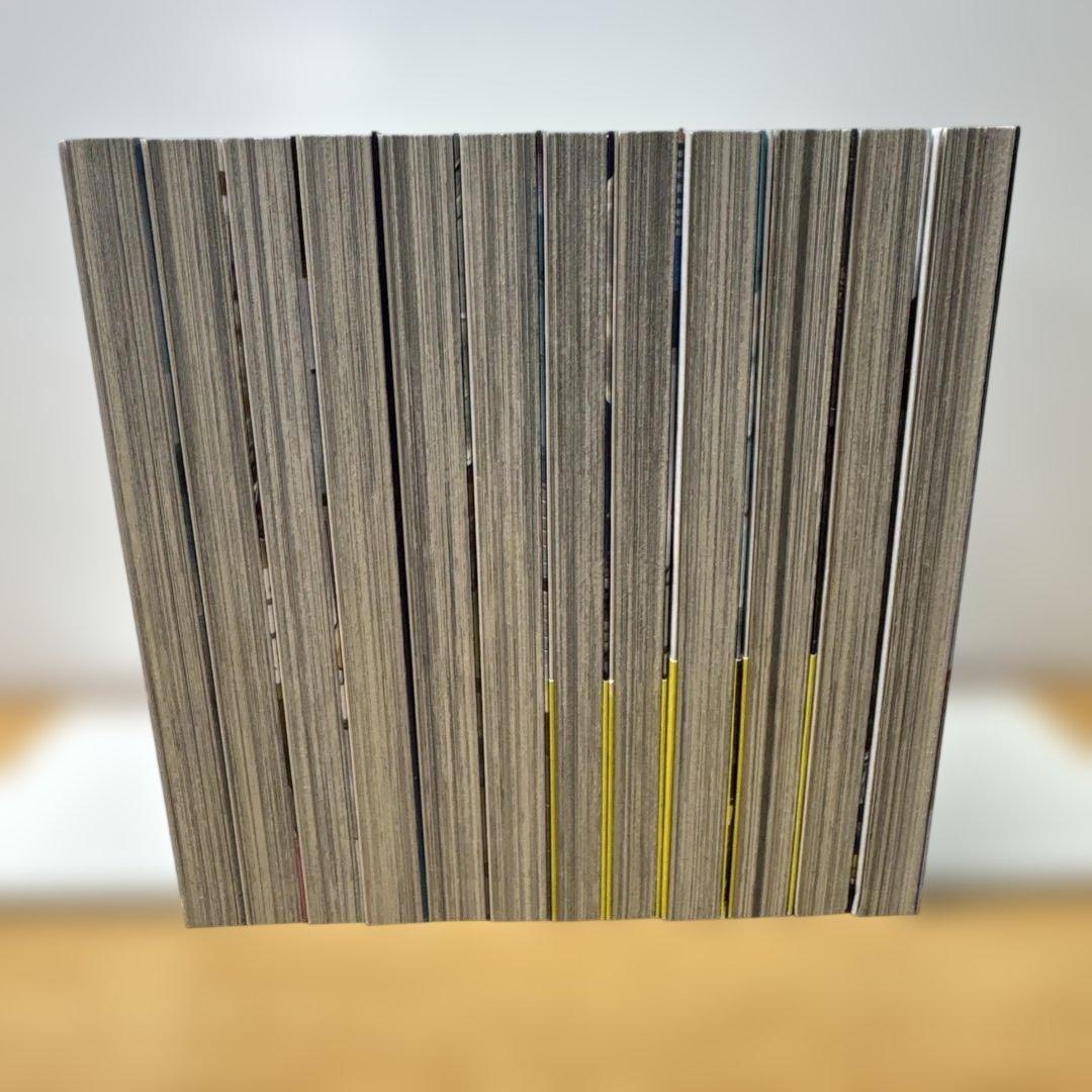 ババンババンバンバンパイア 1-12巻 奥嶋ひろまさ