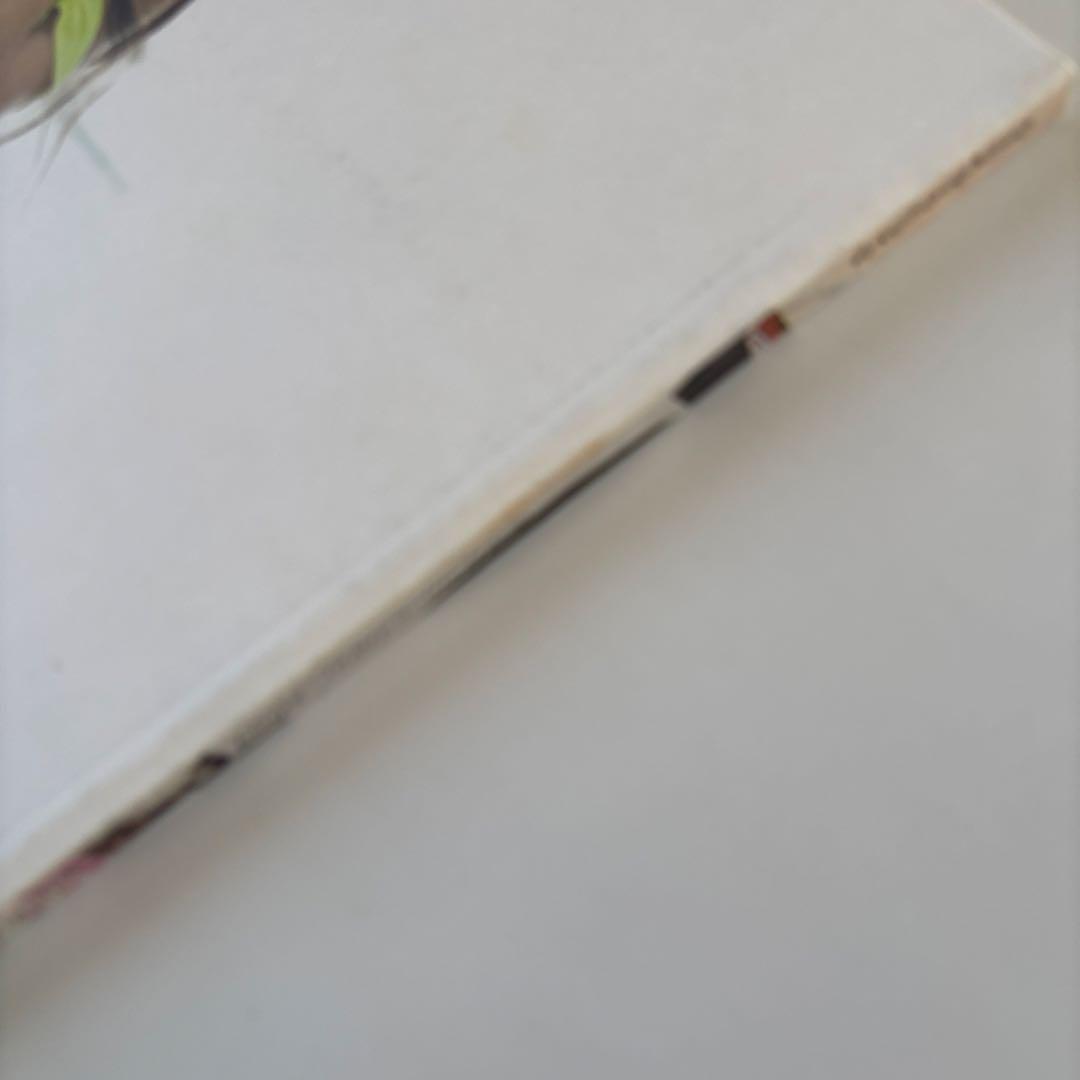 洋書 BABY BABY BABY Issue11