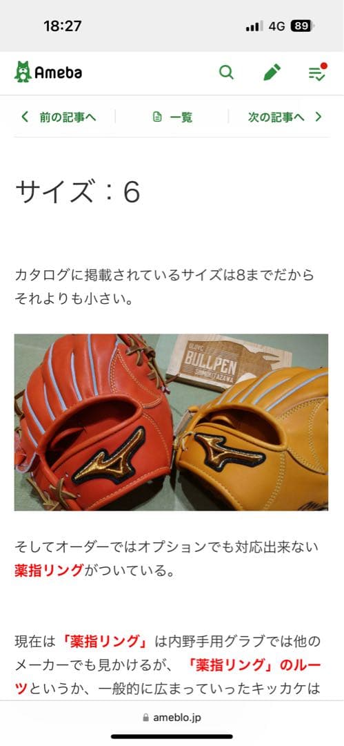 Mizuno Pro 硬式グローブ 仁志モデル