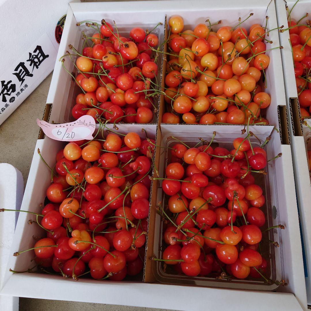 山形産*佐藤錦加工用