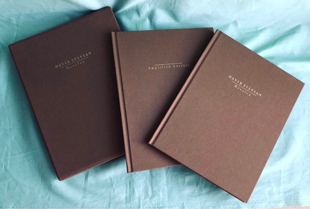 【直筆サイン限定 CD/DVD】デヴィッド・シルヴィアン　マナフォン