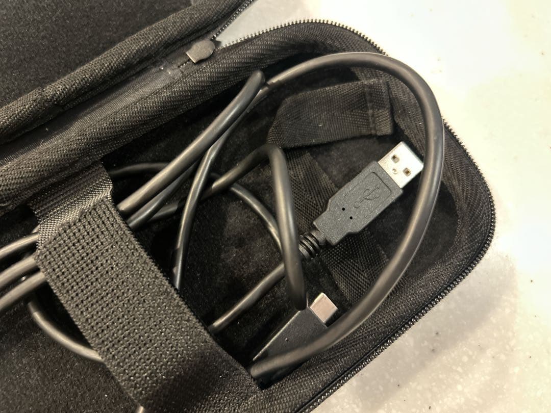 Nintendo Switch Lite グレー　あつまれどうぶつの森