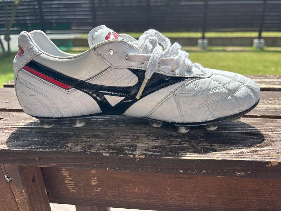 モレリア　クロスステッチ26センチ