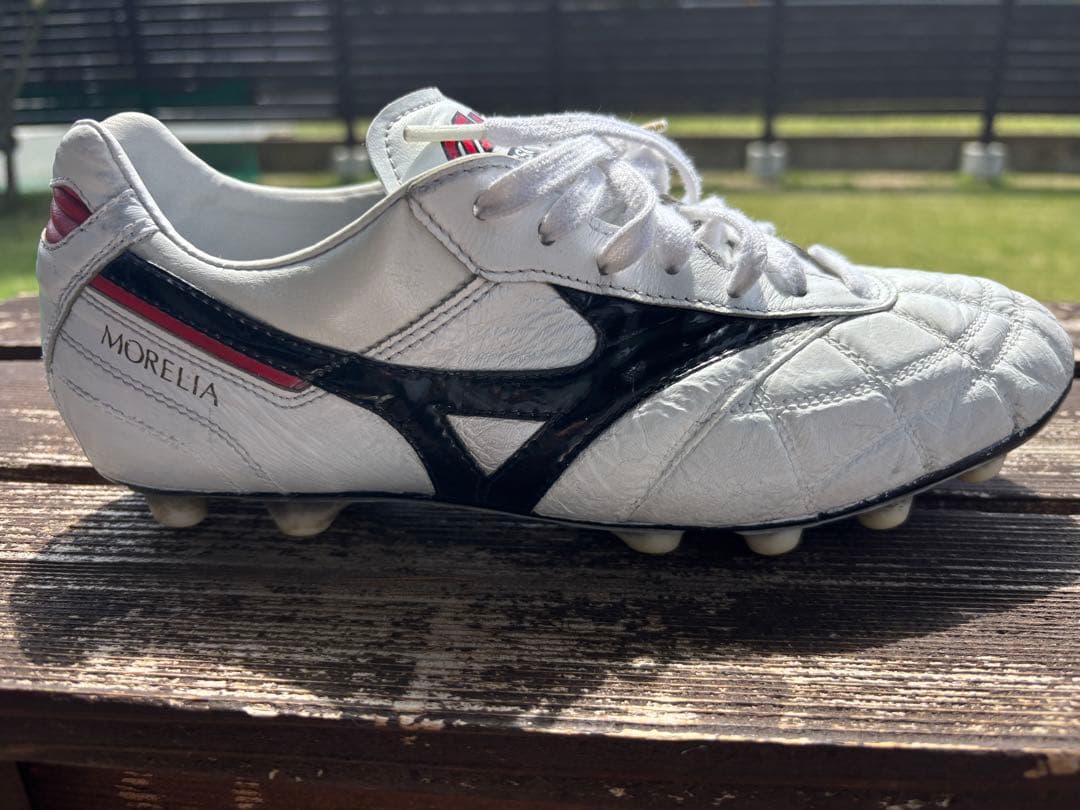 モレリア　クロスステッチ26センチ