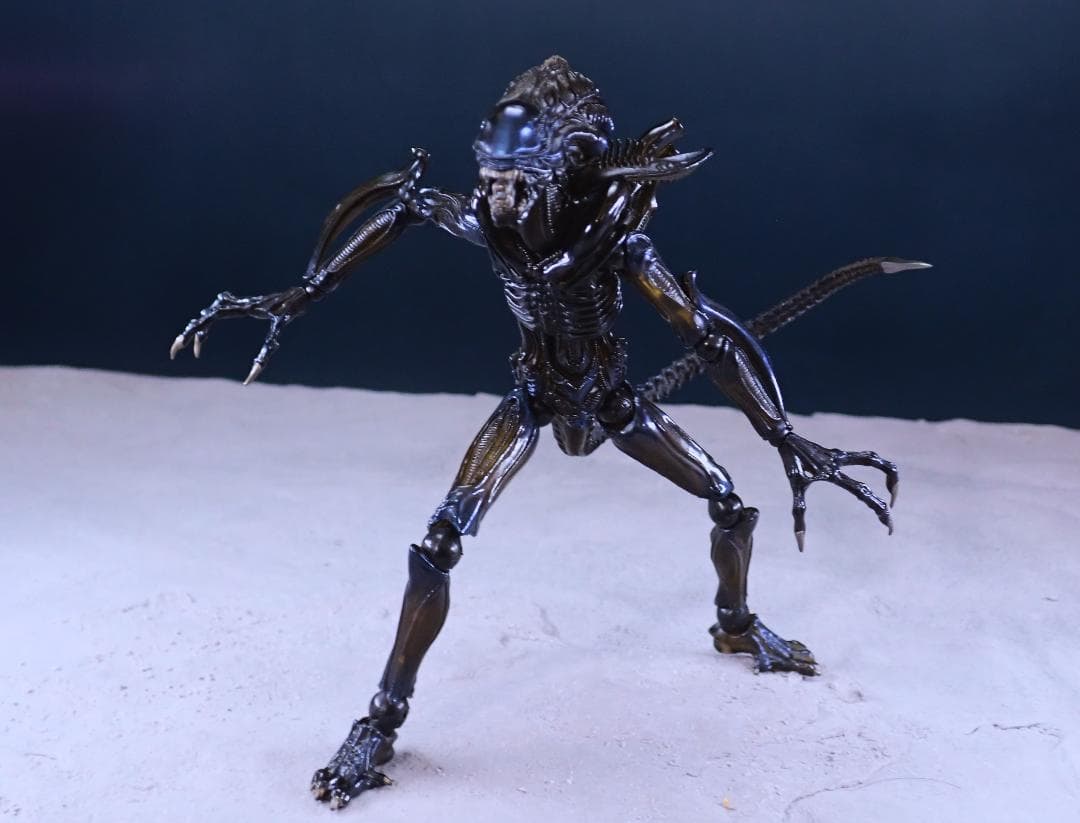 中古 リボルテック　エイリアンクィーン&ウォーリアー