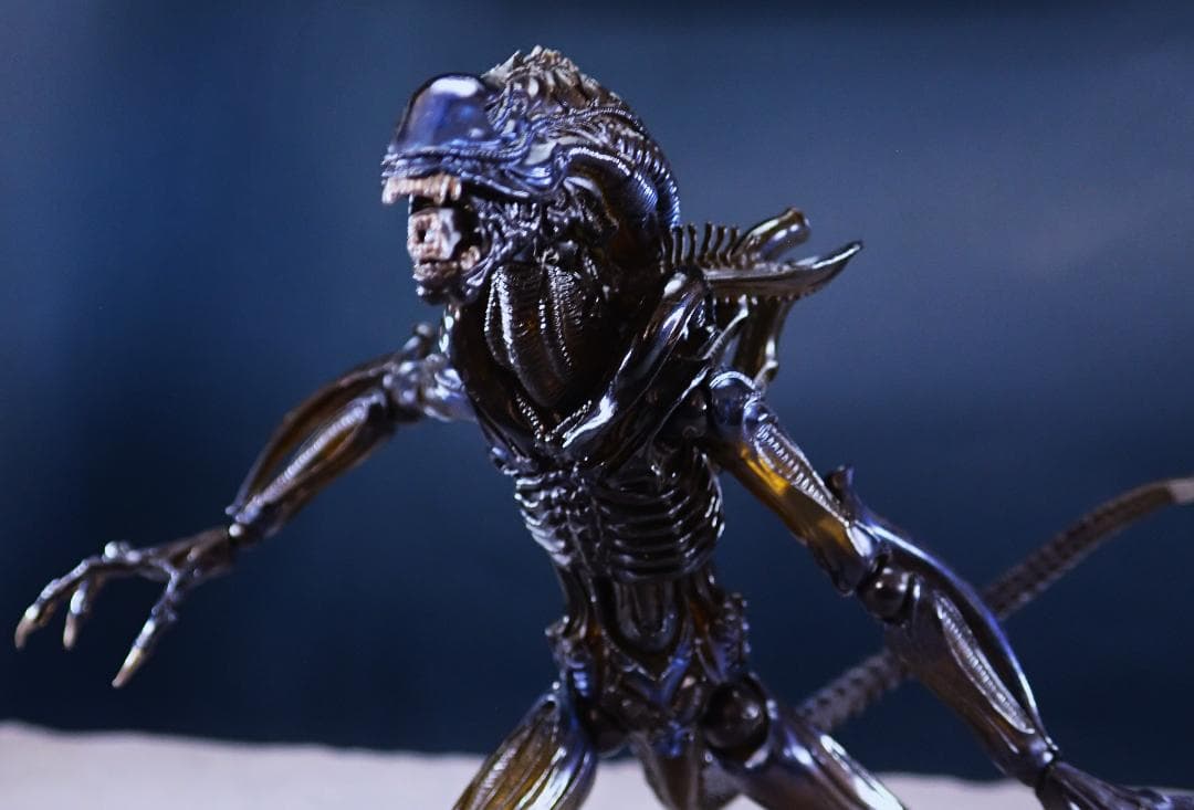 中古 リボルテック　エイリアンクィーン&ウォーリアー