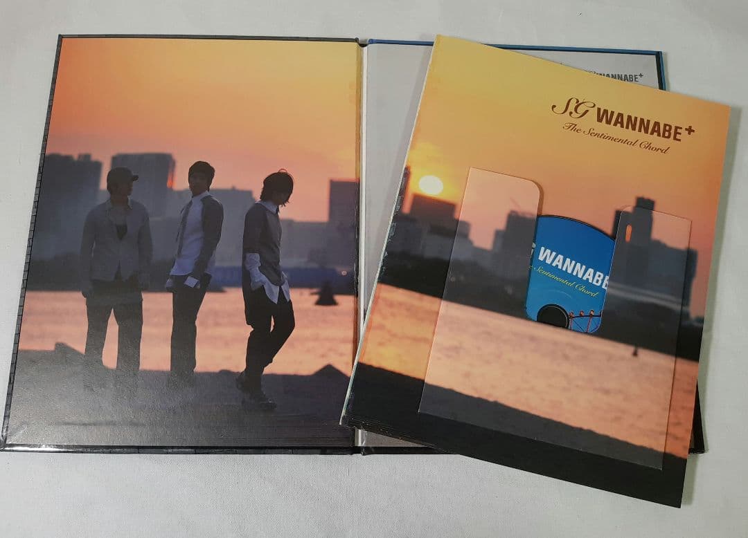 【CD+DVD】SG WANNA BE+ 9点 セット まとめ