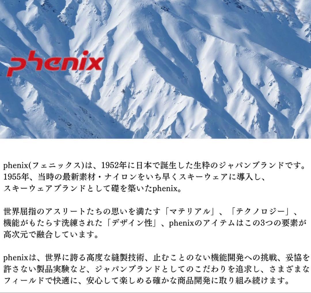 フェニックス PHENIX レディース スキーウェア ウエア上下セットL
