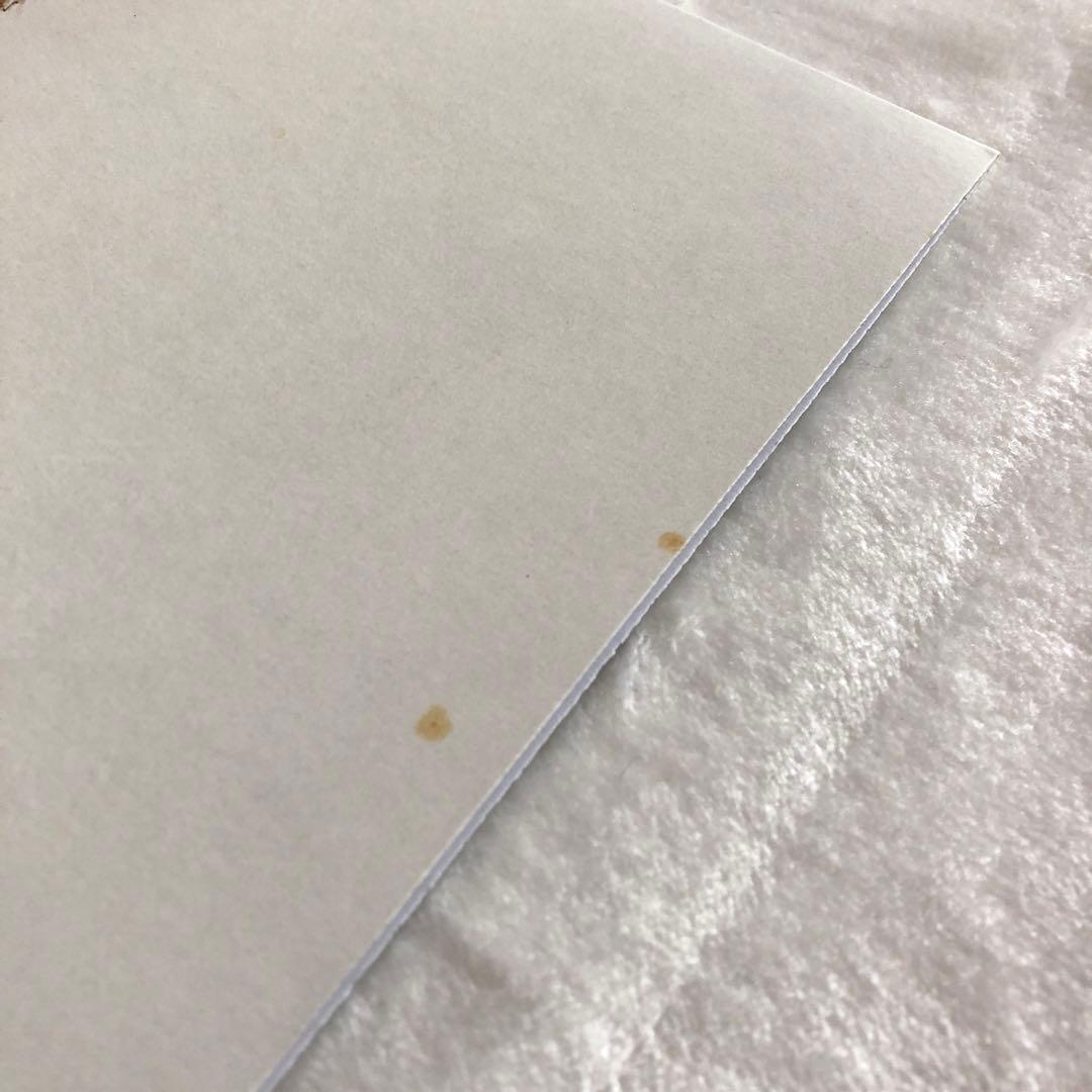 美盤LPステッカー付RAVENレイヴン限り無く赤に近い黒ROSSOロッソ照井利幸