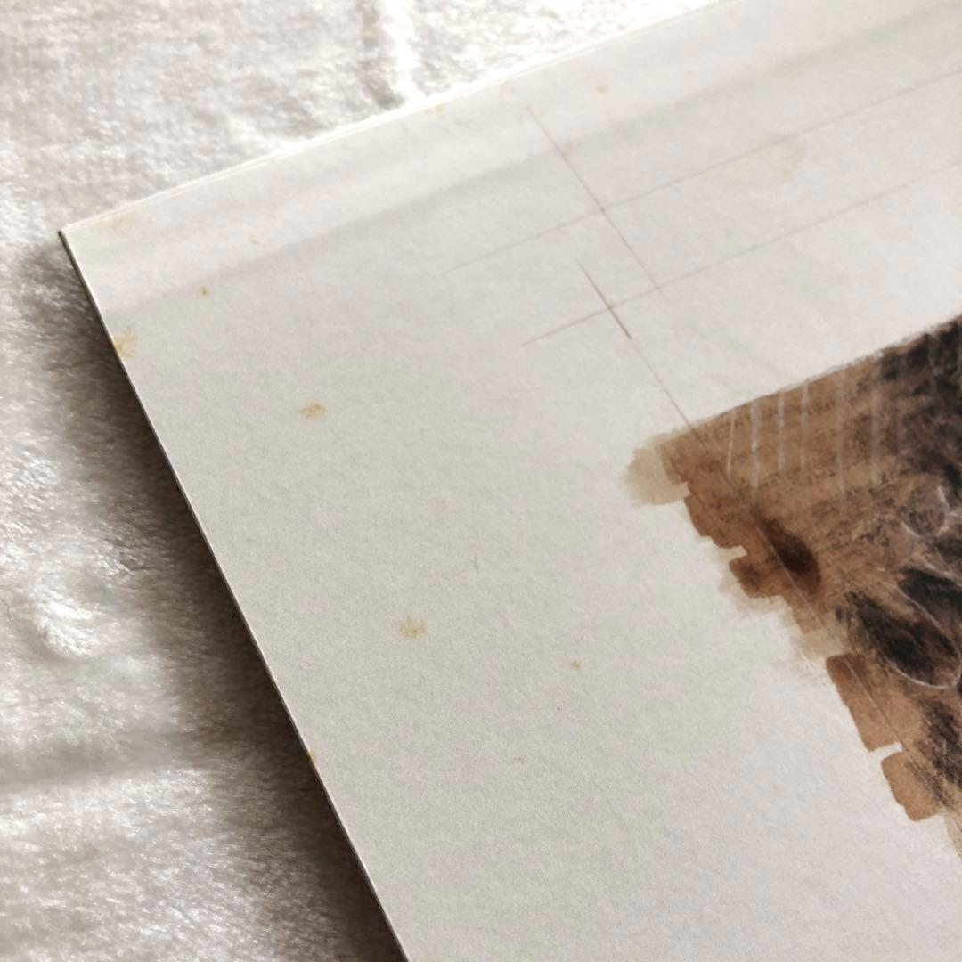 美盤LPステッカー付RAVENレイヴン限り無く赤に近い黒ROSSOロッソ照井利幸