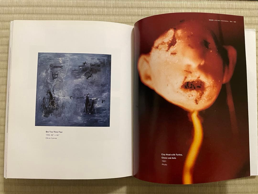 IMAGES　DAVID LYNCH　デイヴィッド・リンチ〈洋書〉