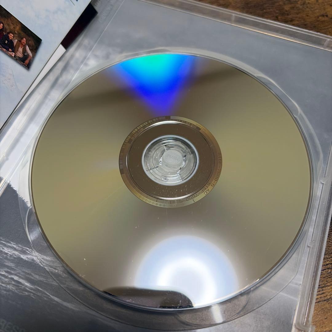 イントゥザワイルド　in to the wild DVD