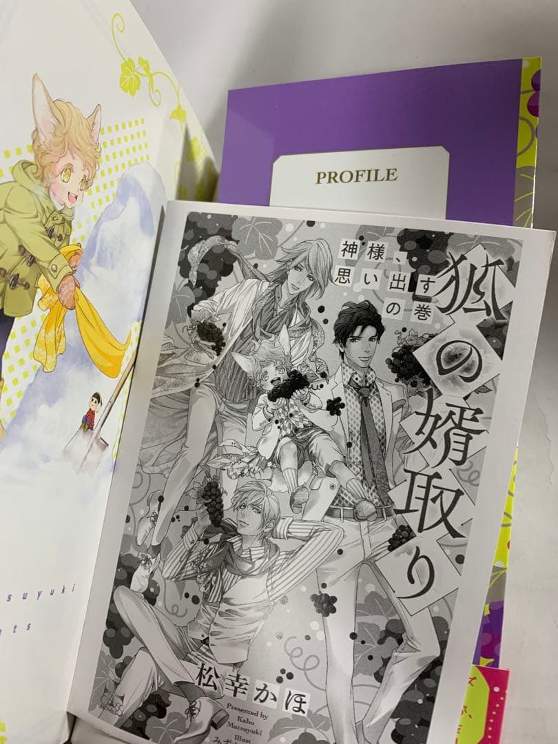 狐の婿取り　シリーズ　冊子付き　1〜20巻　松幸かほ　全巻　セット