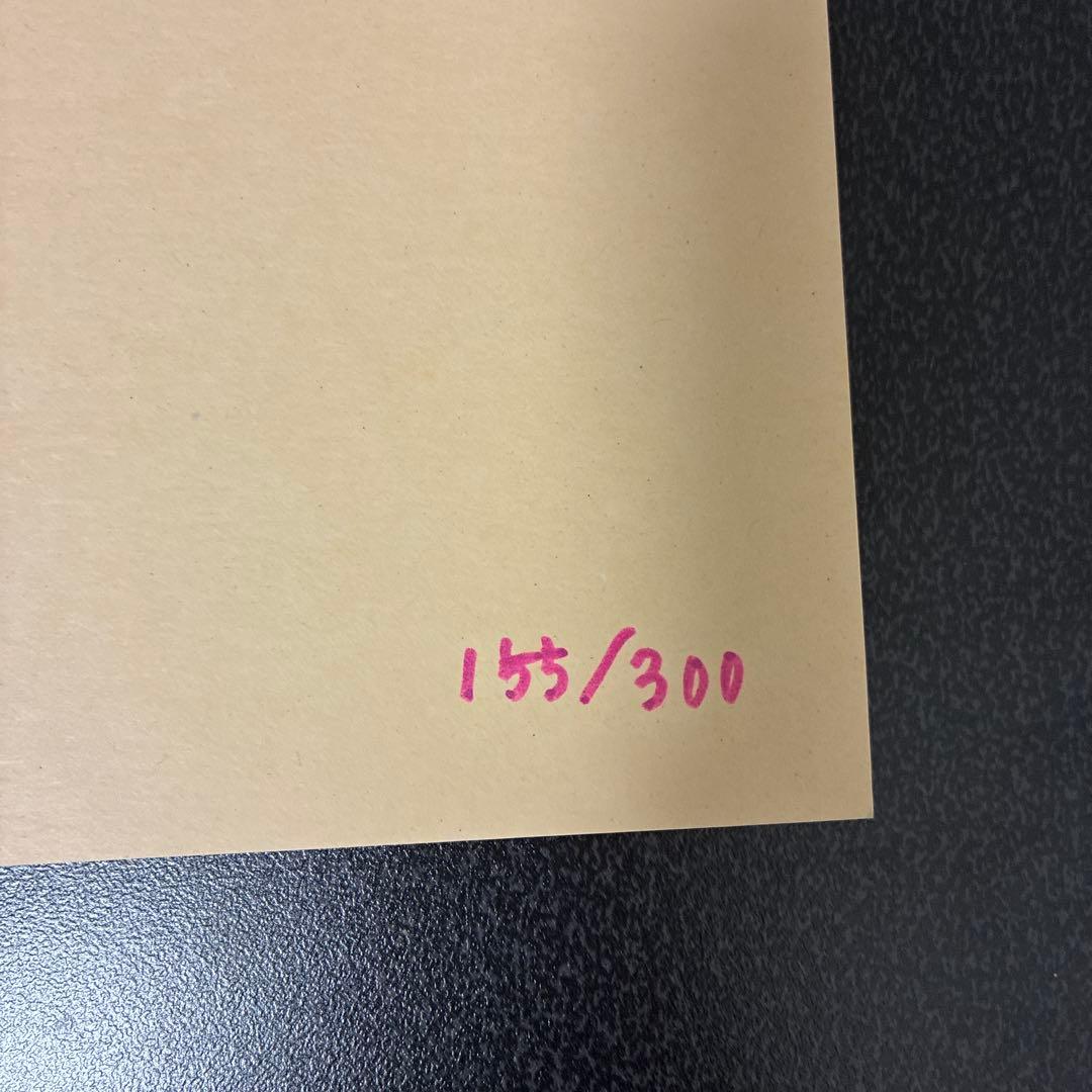 GEZAN マヒトゥ・ザ・ピーポー めのう 300冊限定【美品】