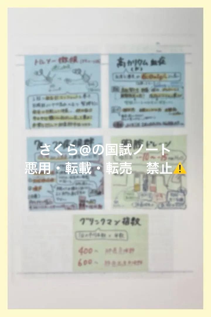看護【国試対策ノート】【基礎】+【病態】A4サイズ余白あり！勉強・暗記に大活躍！