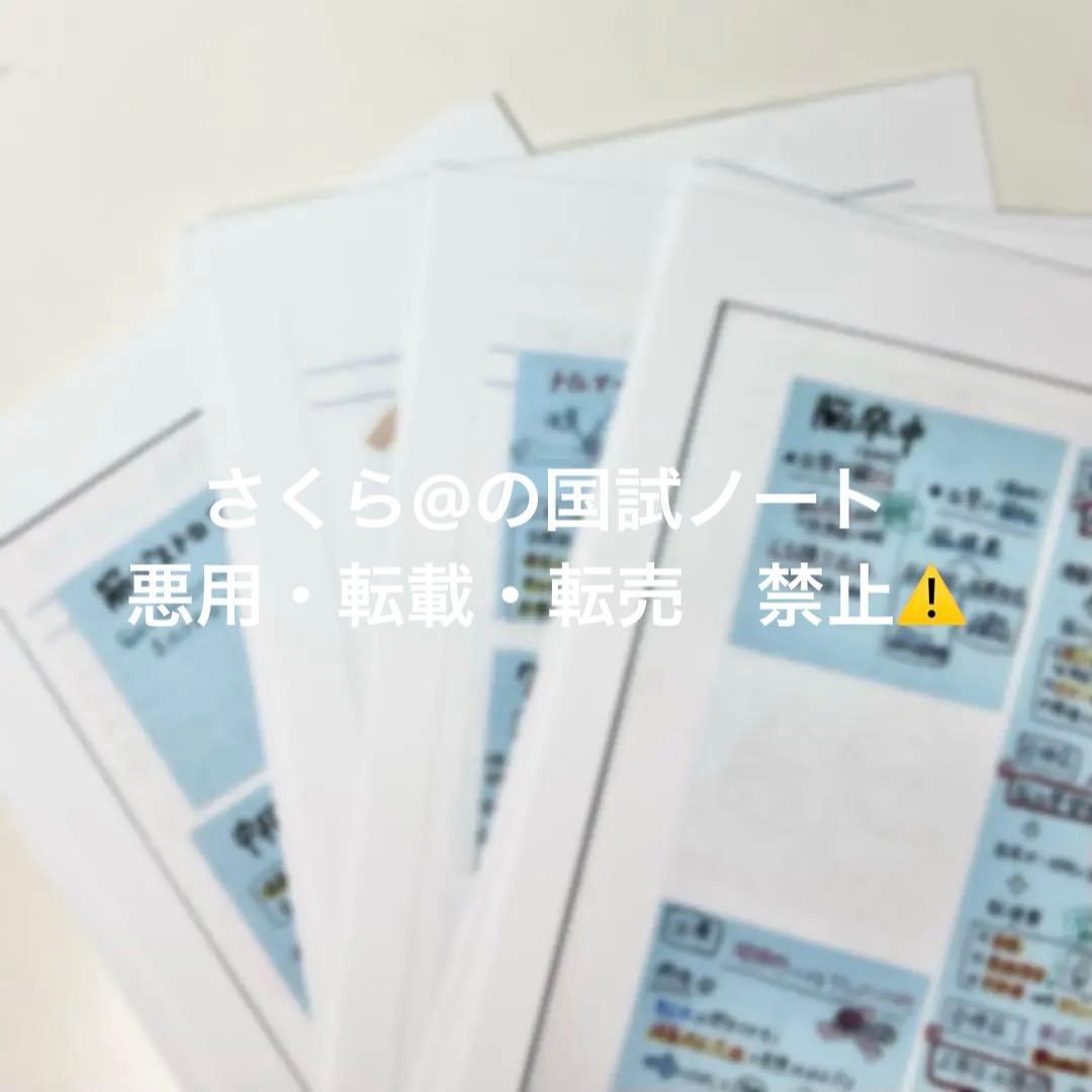 看護【国試対策ノート】【基礎】+【病態】A4サイズ余白あり！勉強・暗記に大活躍！
