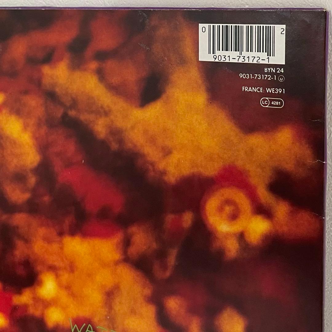 Dinosaur Jr Green Mind レコード アナログ オルタナ