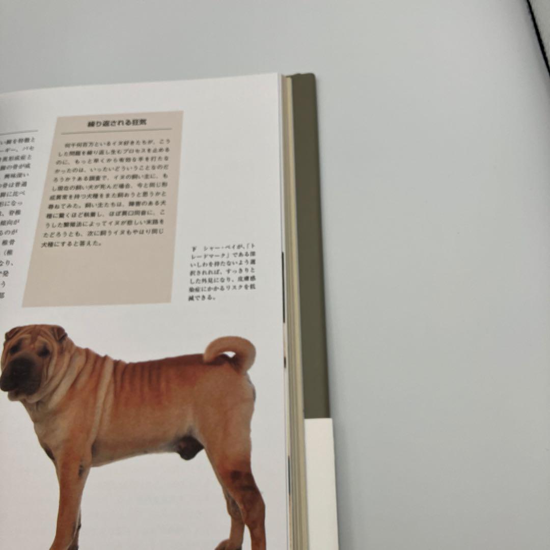 美品　帯付き　イヌの博物図鑑 アーダーム・ミクローシ 著