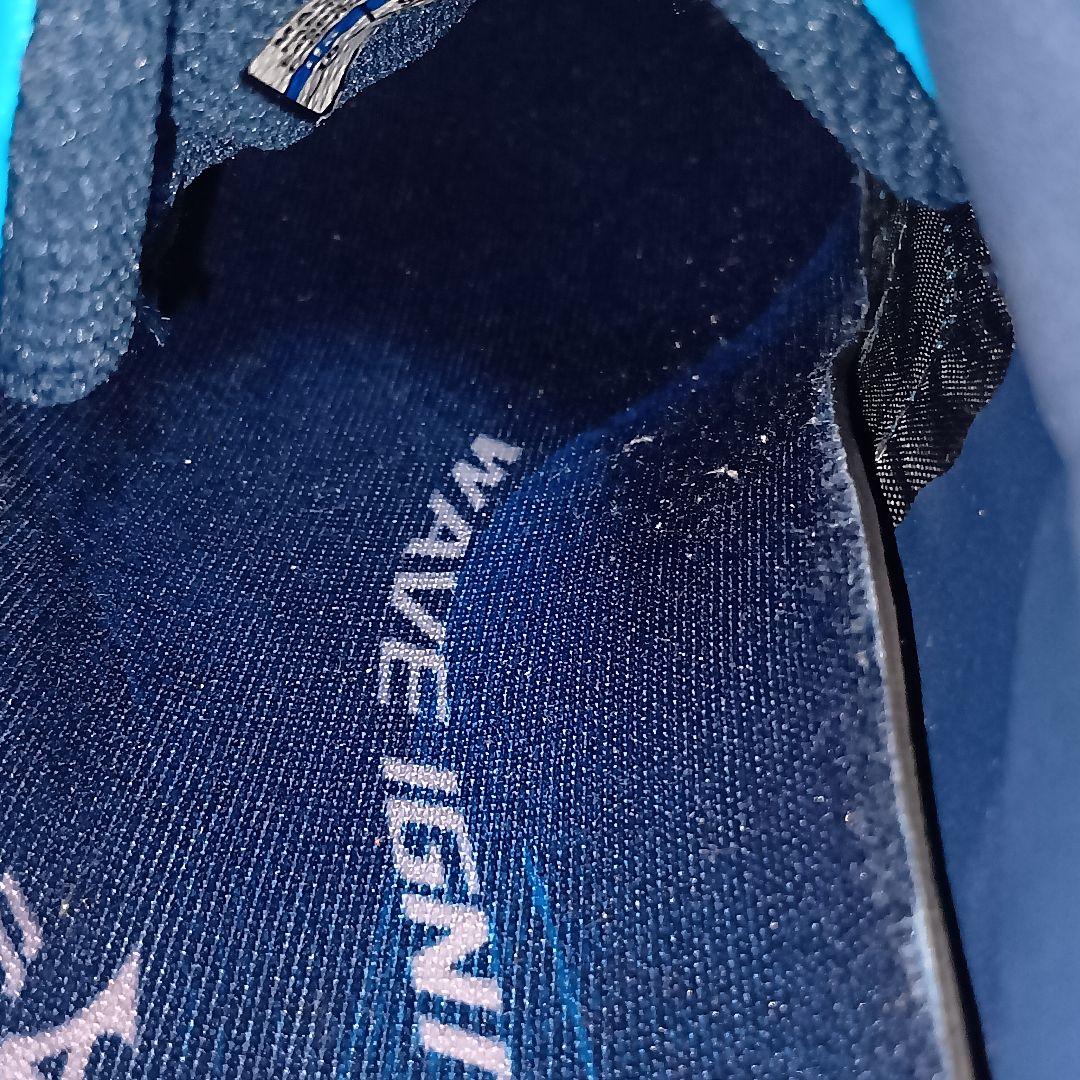 【希少】本田圭佑着用 ミズノ ウェーブイグニタス AS 28.0cm トレシュー