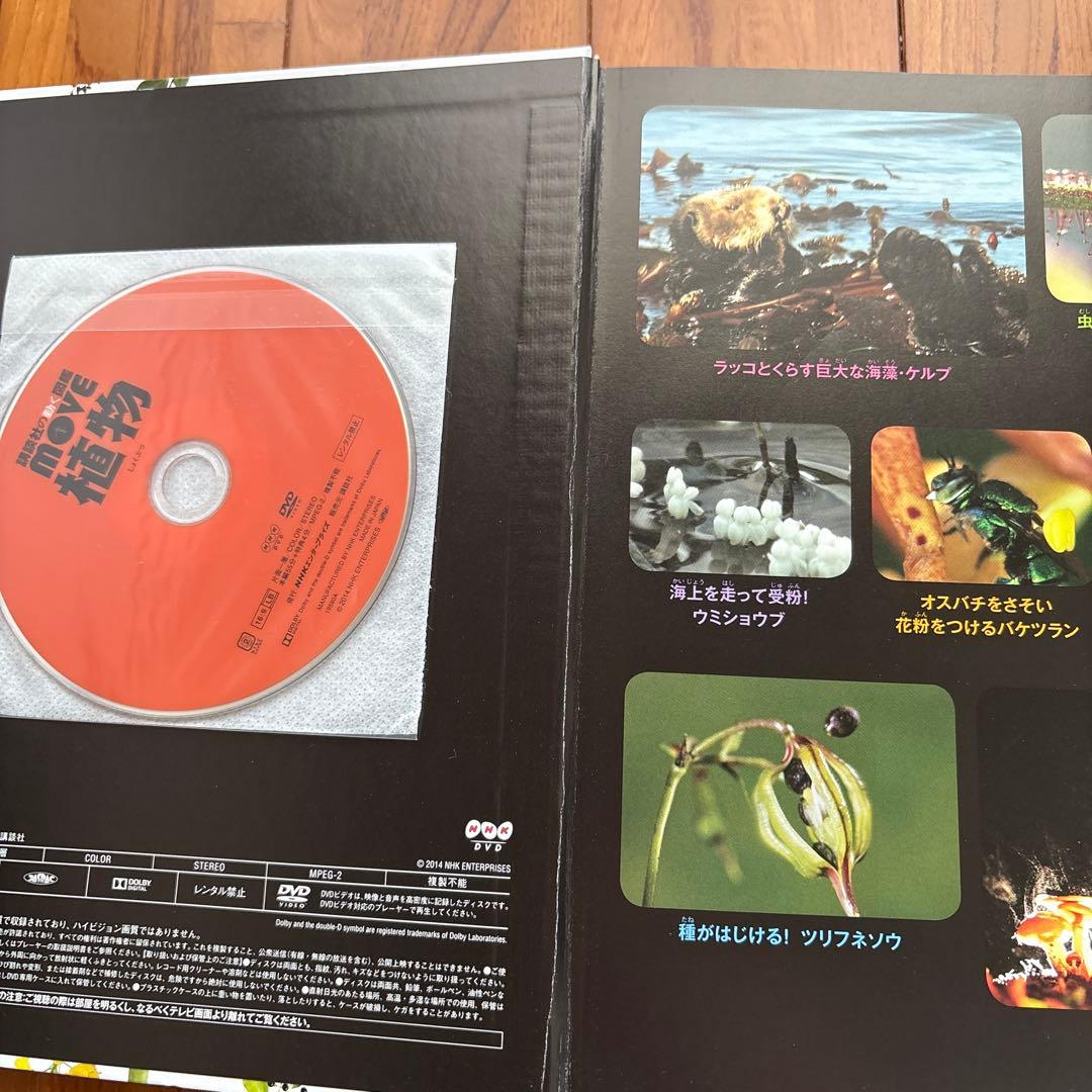 【絵本8冊セット】算数図鑑・MOVE植物・ふしぎの図鑑・きせつの図鑑 他