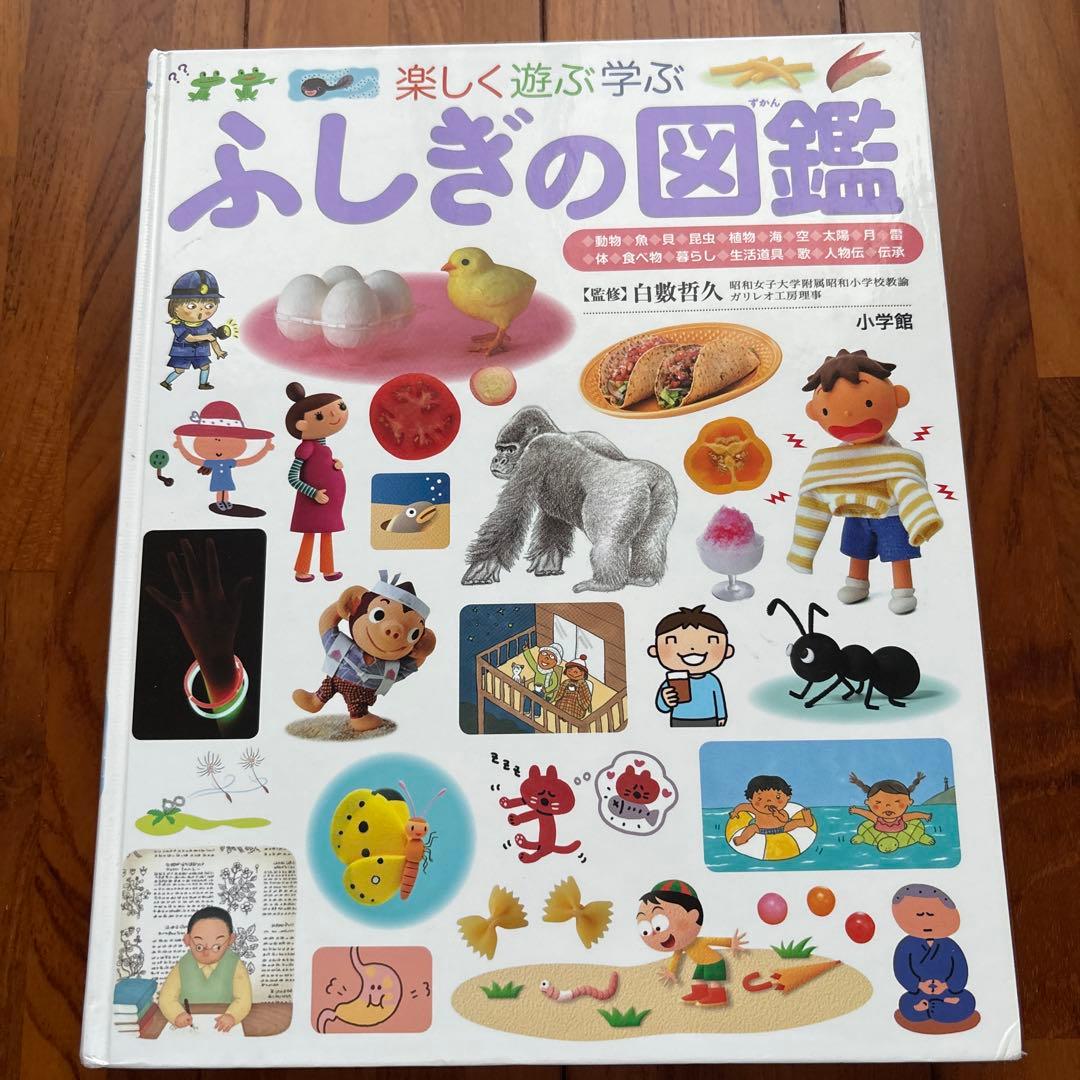 【絵本8冊セット】算数図鑑・MOVE植物・ふしぎの図鑑・きせつの図鑑 他