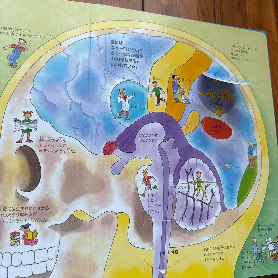 【絵本8冊セット】算数図鑑・MOVE植物・ふしぎの図鑑・きせつの図鑑 他