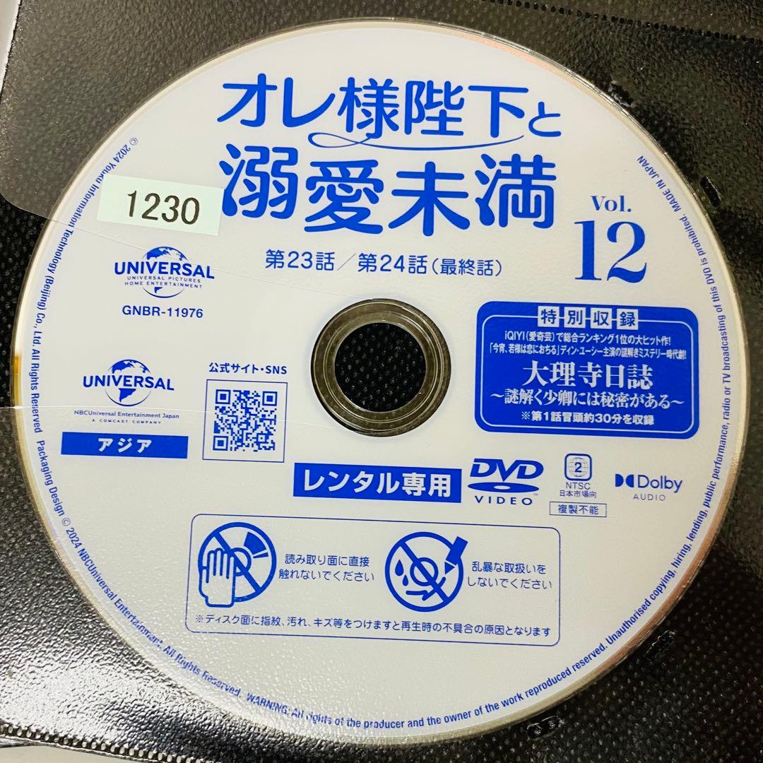 オレ様陛下と溺愛未満　DVD全巻セット　全12巻　中国ドラマ