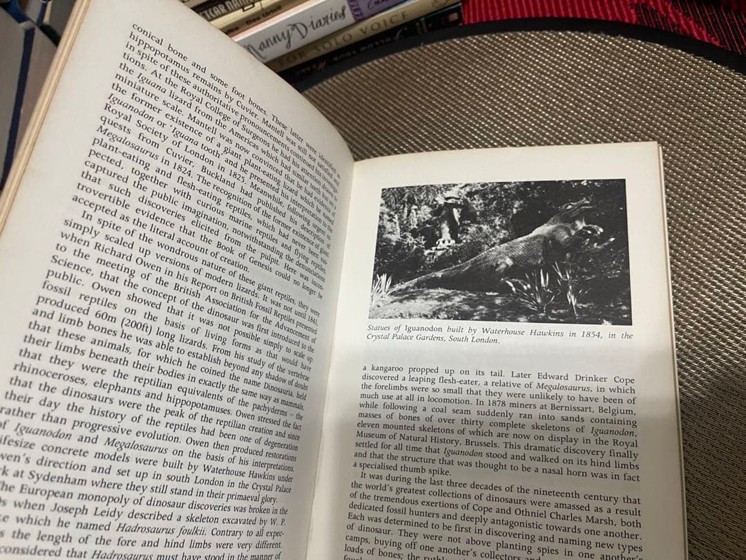 希少DINOSAURS L.B. Halstead Jenny Halstead