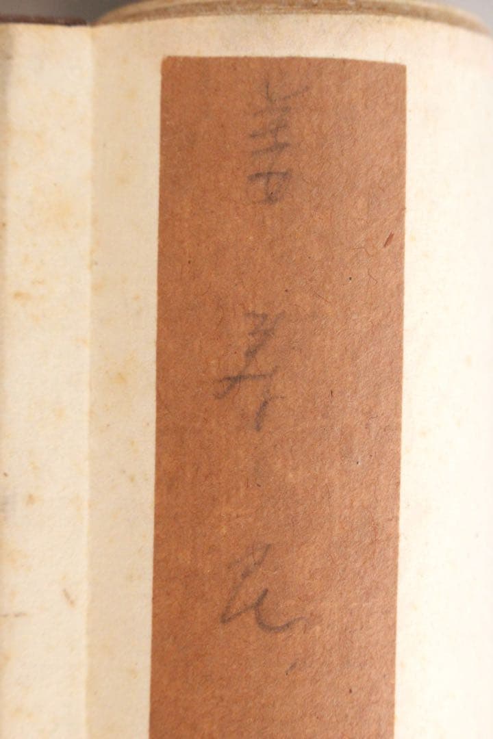 No5888 掛軸　在銘　姜壽民　畑江松崖　紙本　中国画　古画　古美術　送料無料