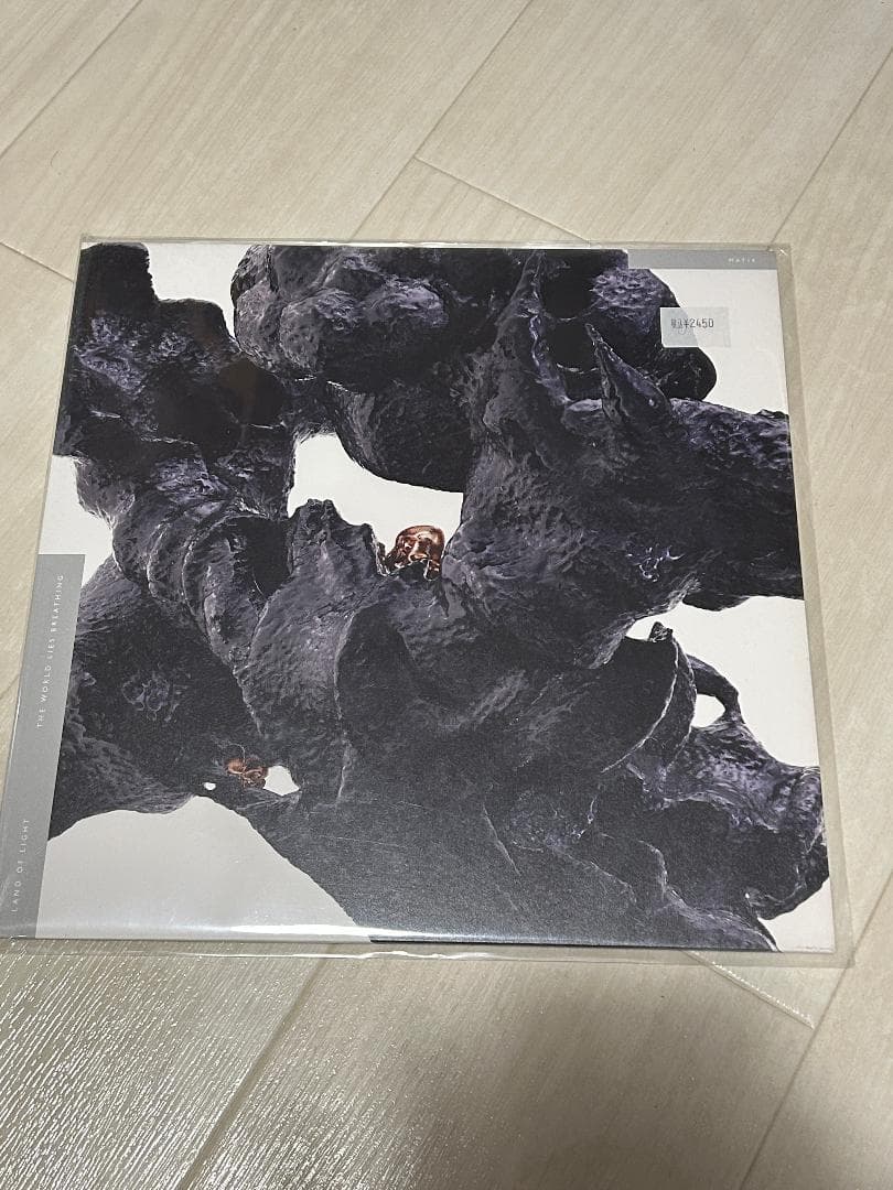 JONNY NASH 関連 - Land Of Light 2ndアルバム LP