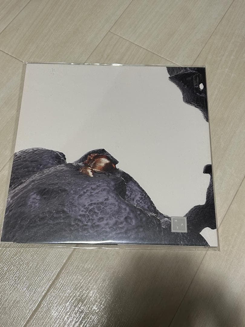 JONNY NASH 関連 - Land Of Light 2ndアルバム LP