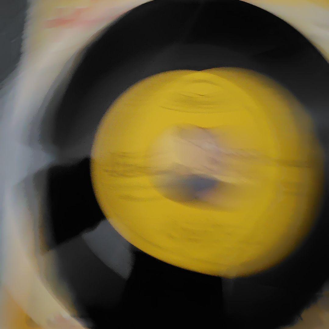 サザエさん 宇野ゆう子 TC-3030