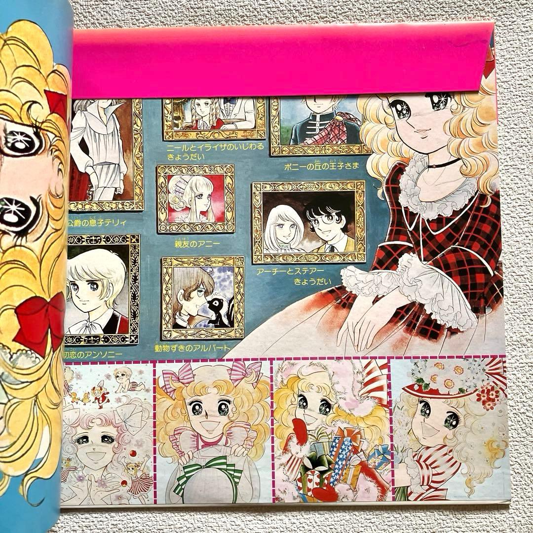 キャンディ・キャンディ　堀江美都子　LPレコード