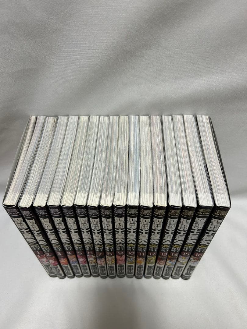 聖闘士星矢　冥王神話　完結　冥王　全巻セット　全巻