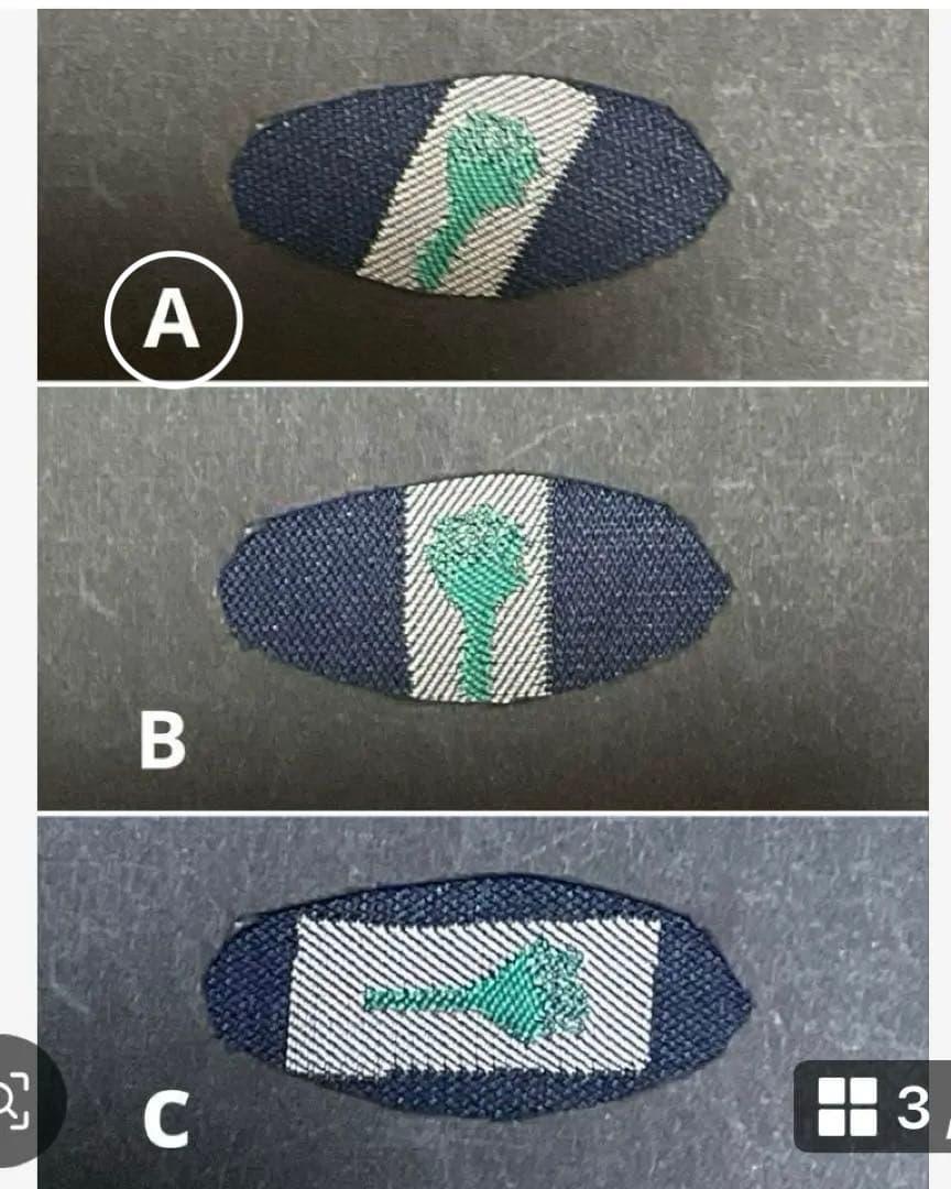 ともっち様　ご確認用ページ