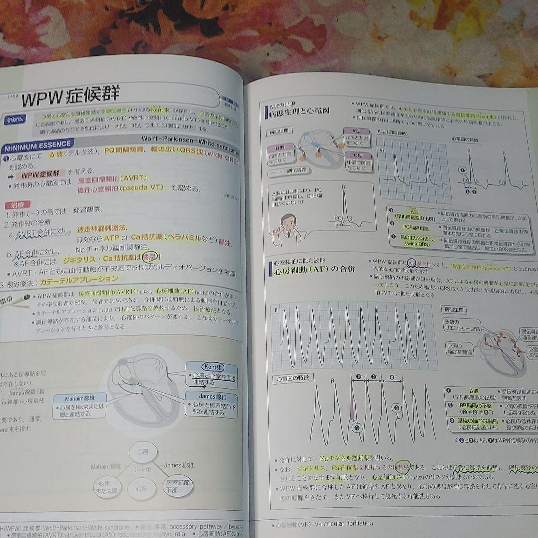 確認用 病気がみえる vol.2 第4版