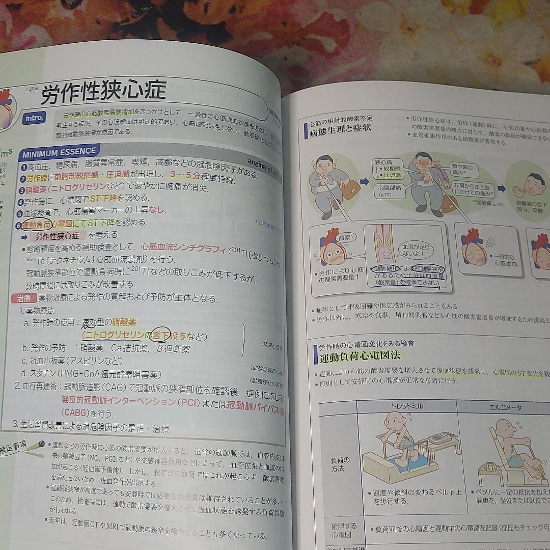 確認用 病気がみえる vol.2 第4版