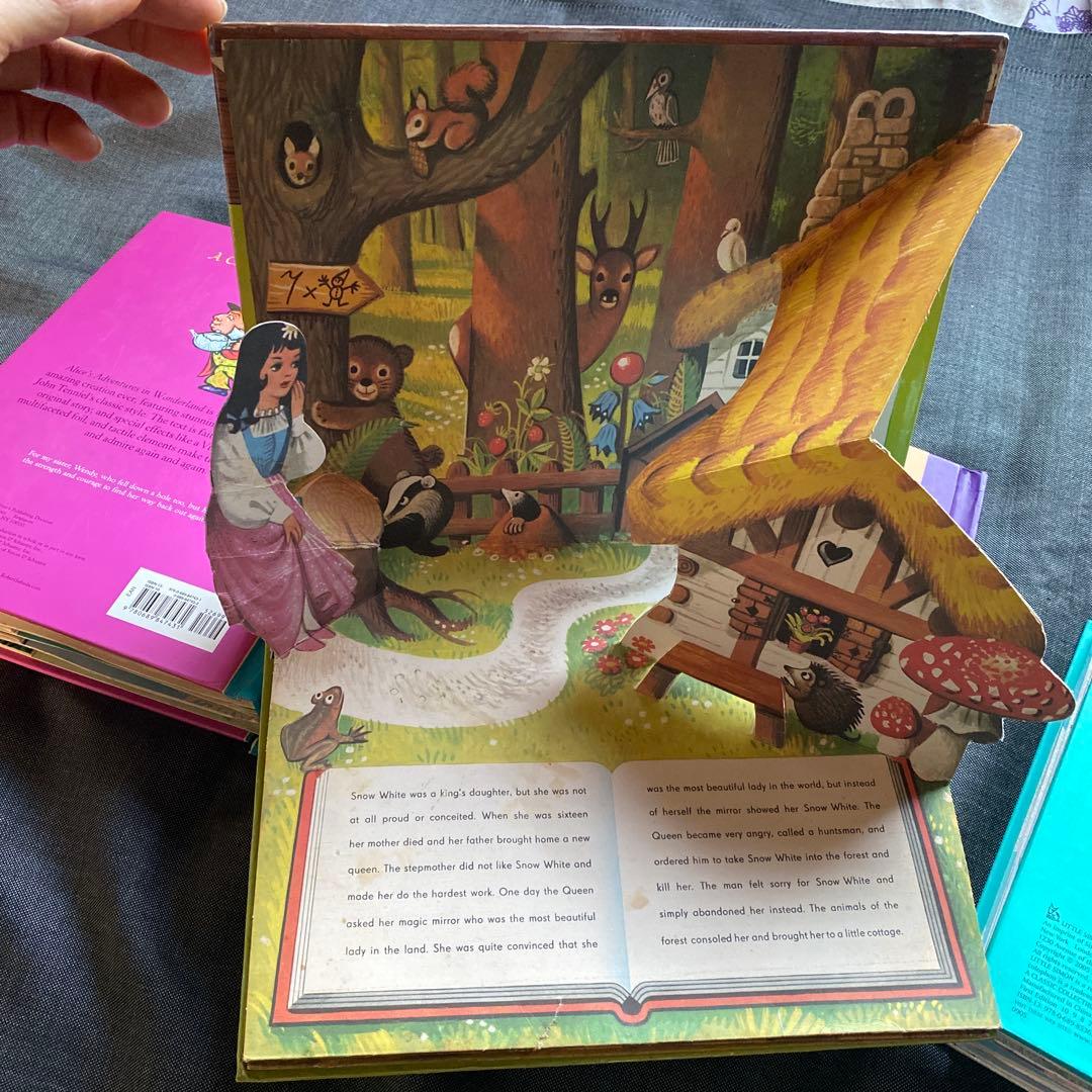 不思議の国のアリスなど絵本4冊セット ロバートサブダ