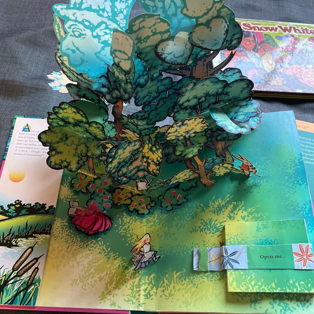 不思議の国のアリスなど絵本4冊セット ロバートサブダ