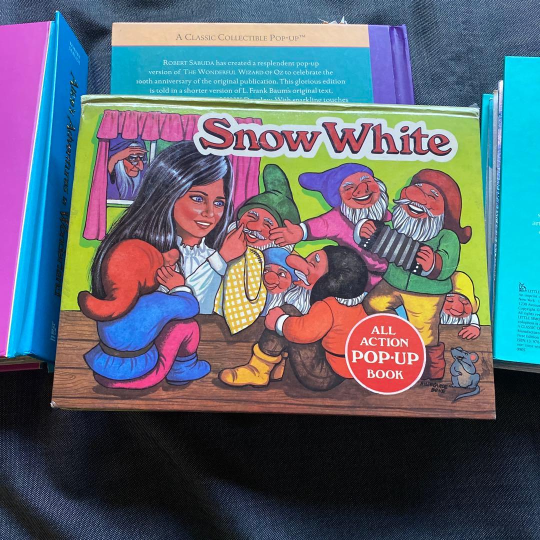 不思議の国のアリスなど絵本4冊セット ロバートサブダ