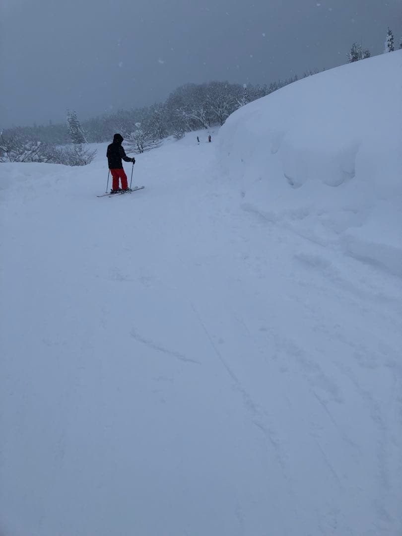 phenix フード付きスキーウェア上下　子ども用170（155-175cm）