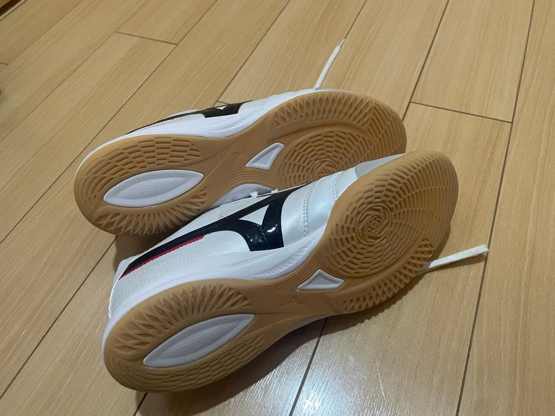 ミズノ モレリア フットサルシューズ