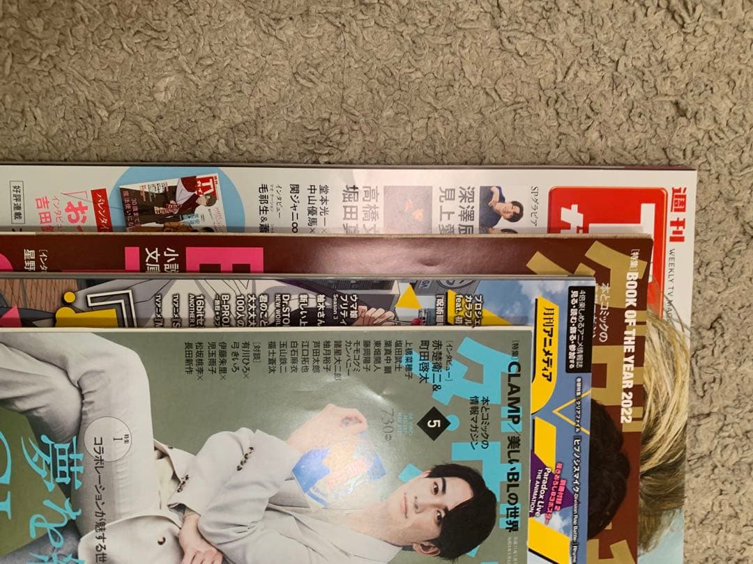 チェリまほ　雑誌　ビジュアルシート